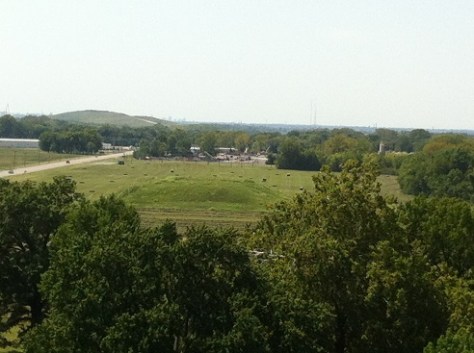Cahokia view