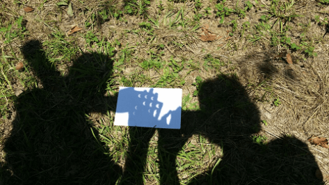 Make your own crescents